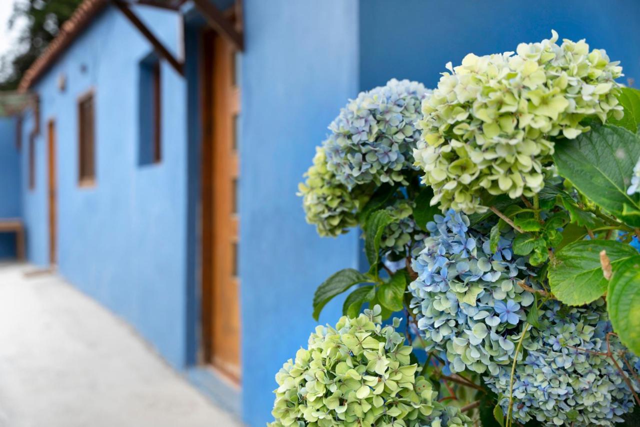 Casa Azul Del Roque Negro Villa Santa Cruz de Tenerife Bagian luar foto